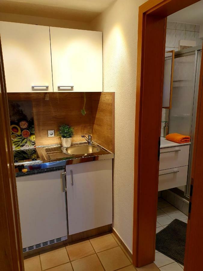Wohlfuehl-Apartment Bad Kissingen II エクステリア 写真